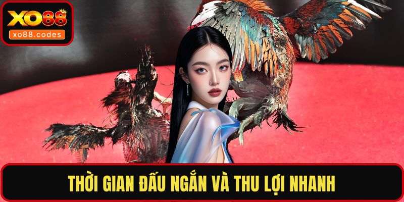 Thời gian đấu ngắn và thu lợi nhanh